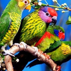 Meet your Posher, Terri